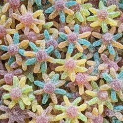 JAKE Octopus acidulée 100g