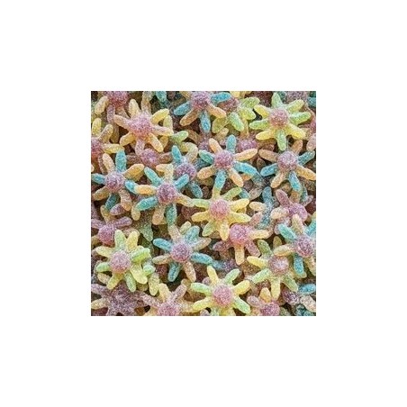 JAKE Octopus acidulée 100g