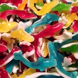 JAKE Requins lisses 100g
