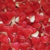 DULCEPLUS Cœur rouge et blanc lisse 100g