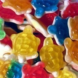 DULCEPLUS Tortues lisses 100g